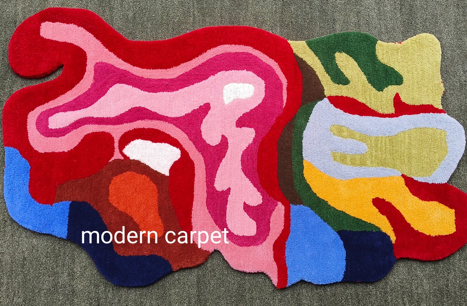 Irregular Amoeba Shaped Rug Handmade 100% Woolen Hand Tufted For Home Decoration
