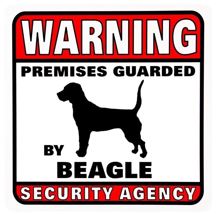 Warning Signs – Beagle Warning Premises Guarded Sign 11×11″ USA SELLER