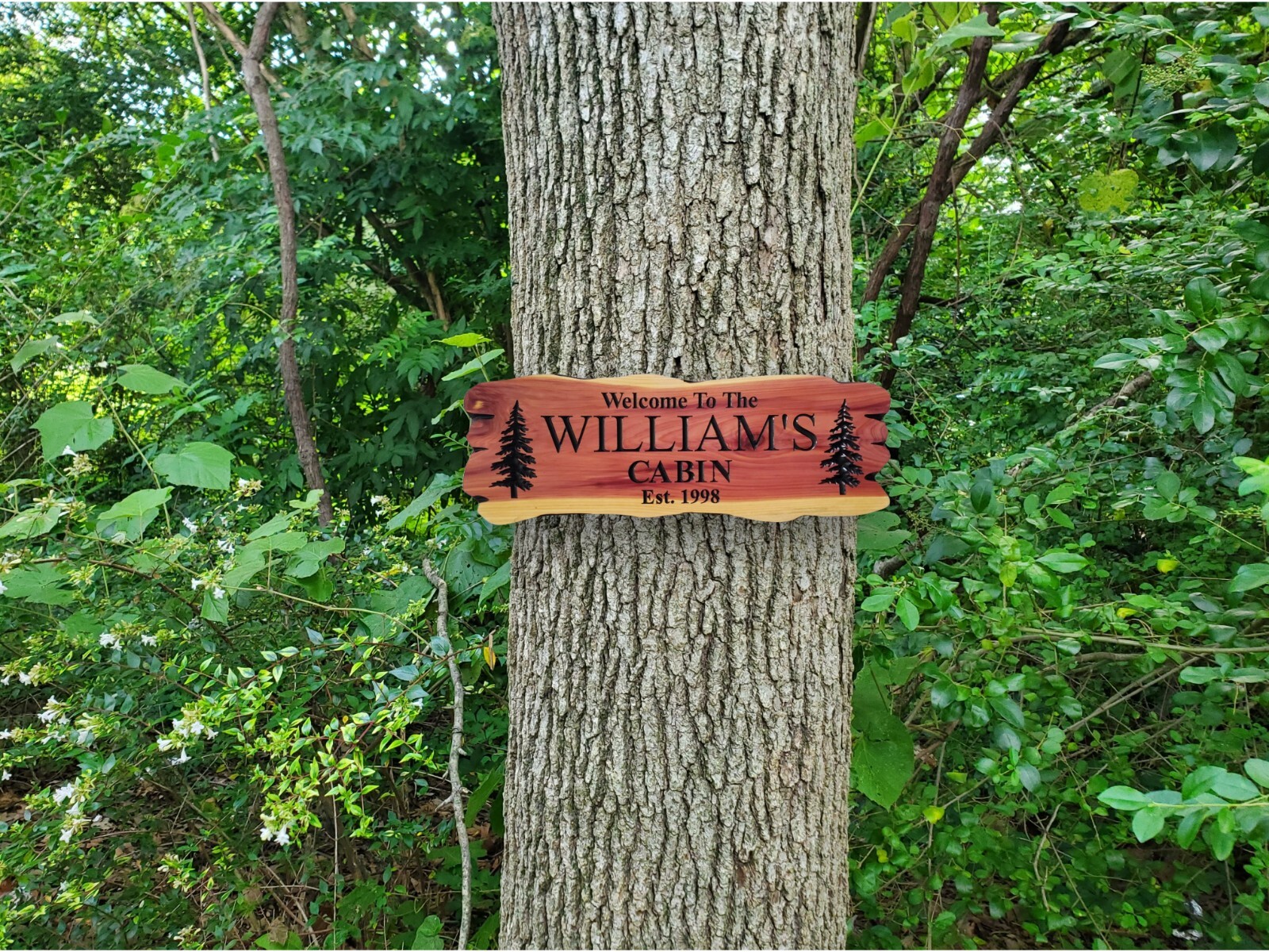 Custom Family Name Cabin Sign Carved Wood Vacation Home Established Date Plaque