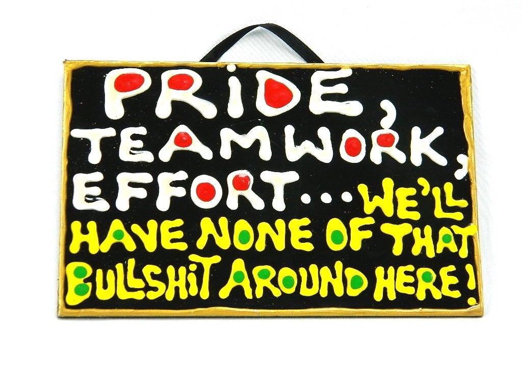 Pride Teamwork Effort We’ll Have None of That Bullshit Around Here Puffy Sign