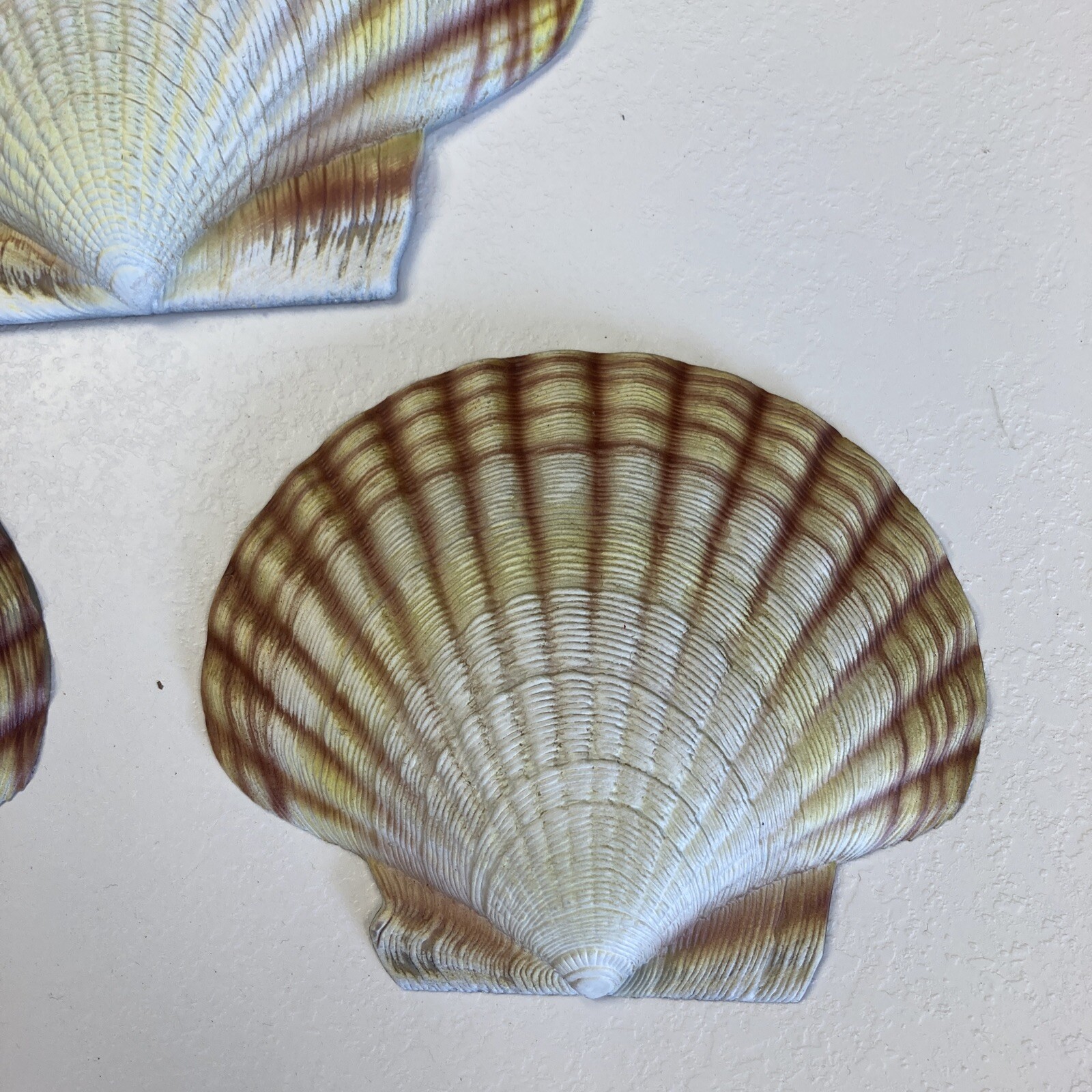 CIT Collection Hand Painted Wall Mounted (1) Large 7.5” (2) Small 5.5” Seashells