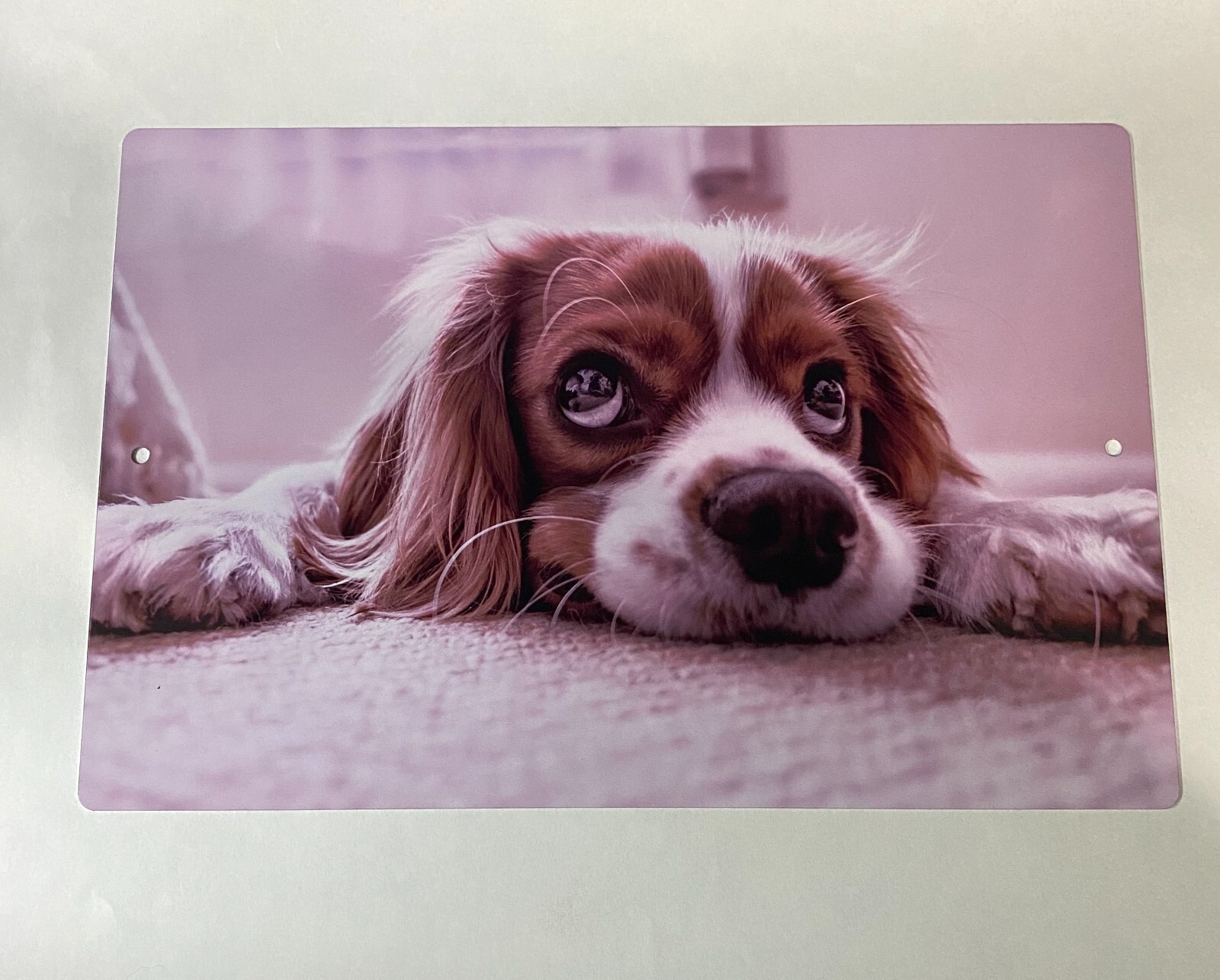 Personalized 12″ x 18″ Aluminum Metal Sign Customize with Text or Picture