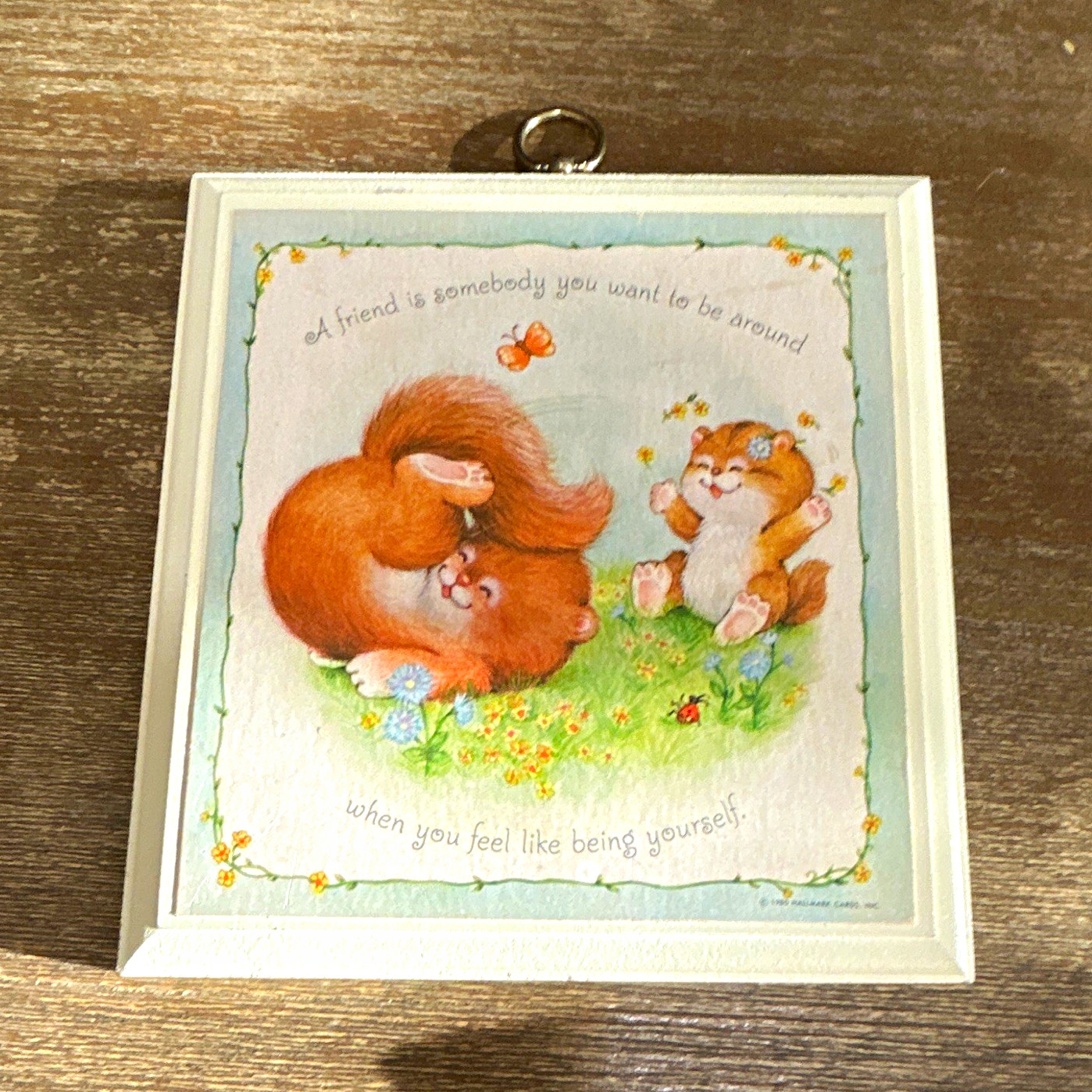 Animal Quote Wood Hanging Wall Plaque White Frame Squirrel Chipmunk 6×6 in