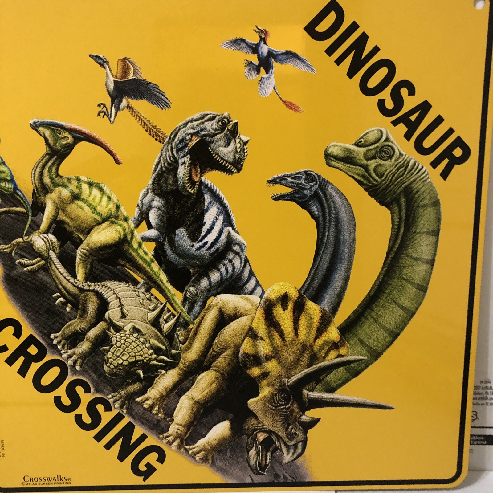 Crosswalks “Dinosaur Crossing” & Dig Site Decorative Road Signs Lot Of 2 12”X12”