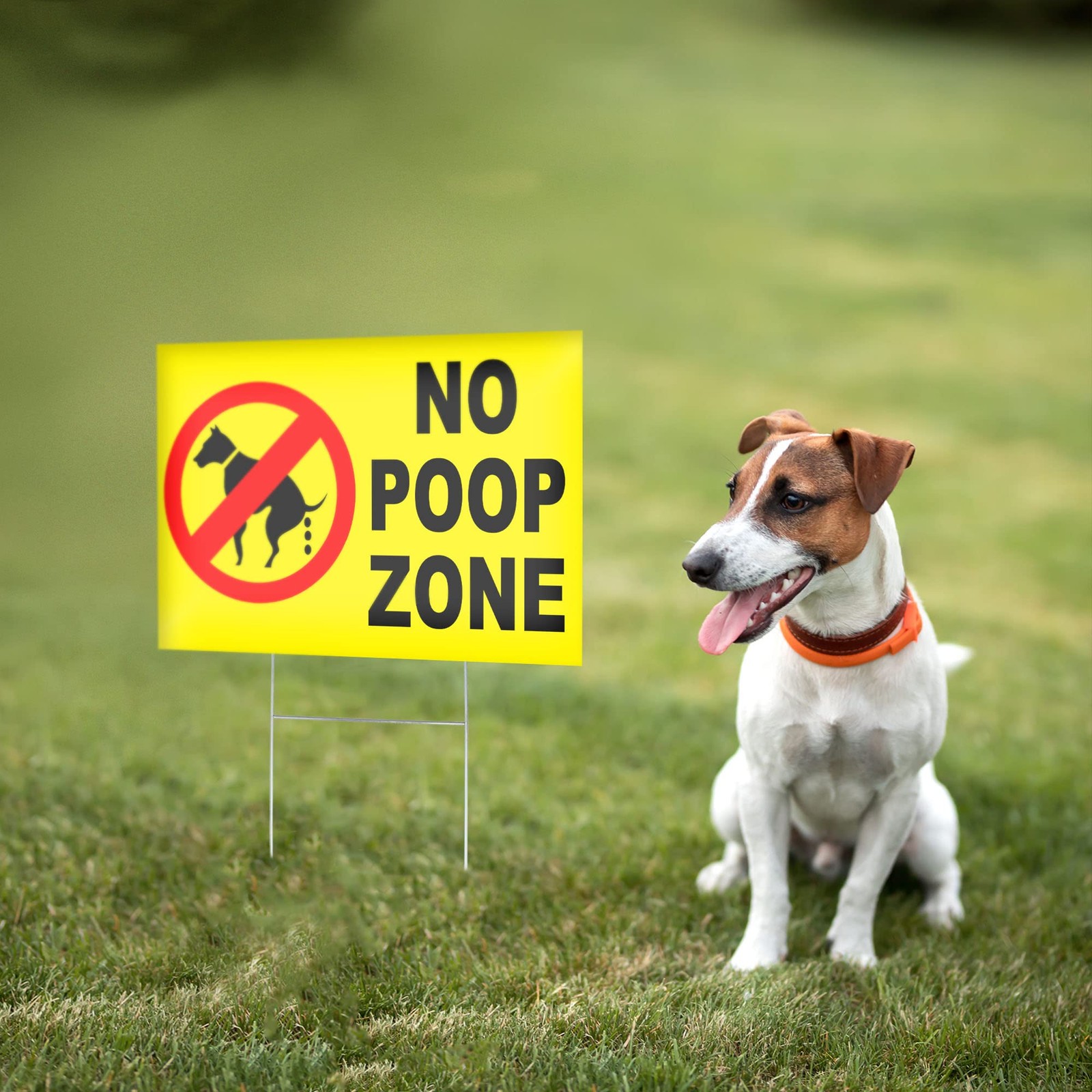No Pooping Dog Signs for Yard, 8×12 Double Sided Coroplast, Stake
