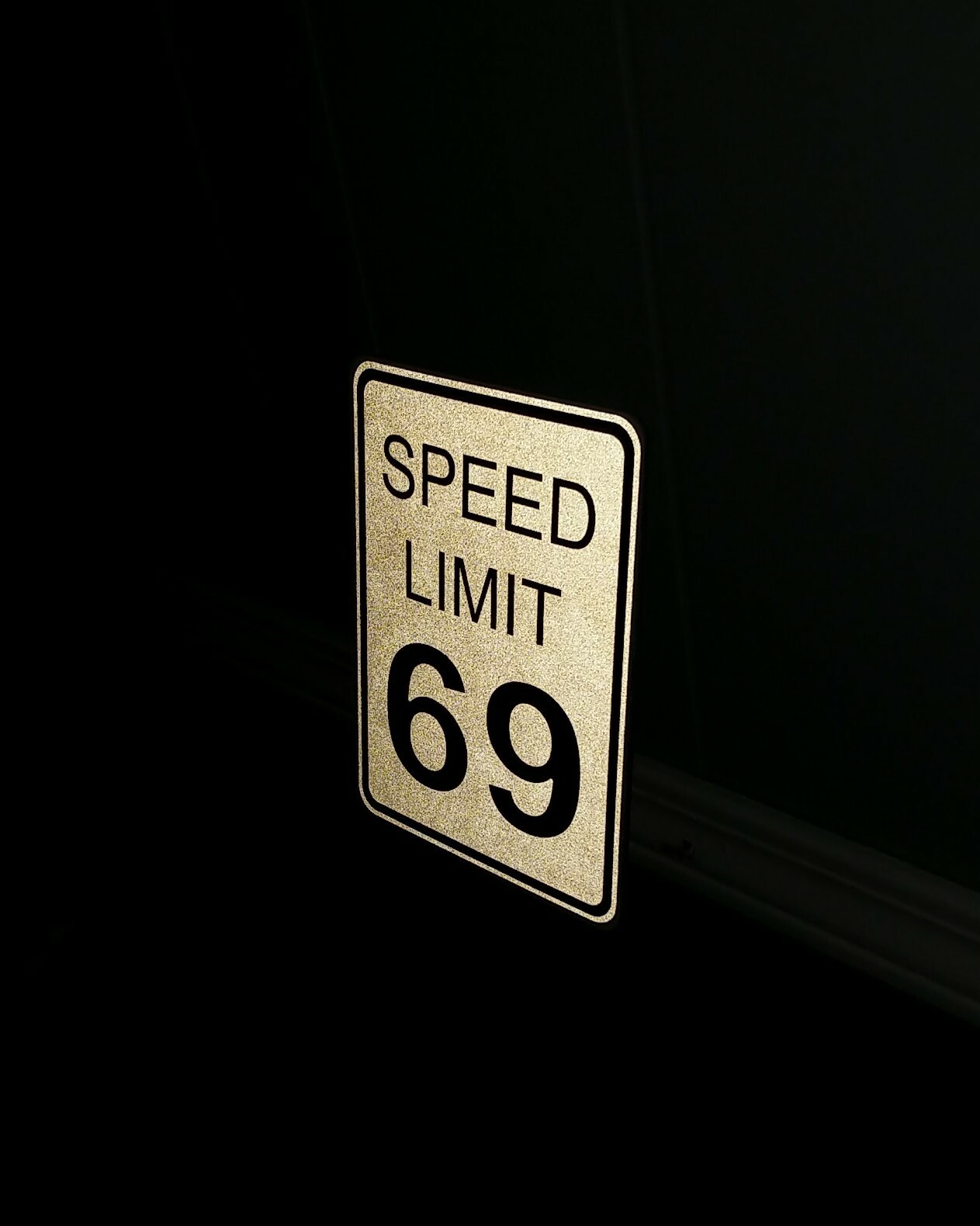9.5″ Speed Limit 69 Sign Indoor Bedroom Home Decor Adult Humor Couples Wedding