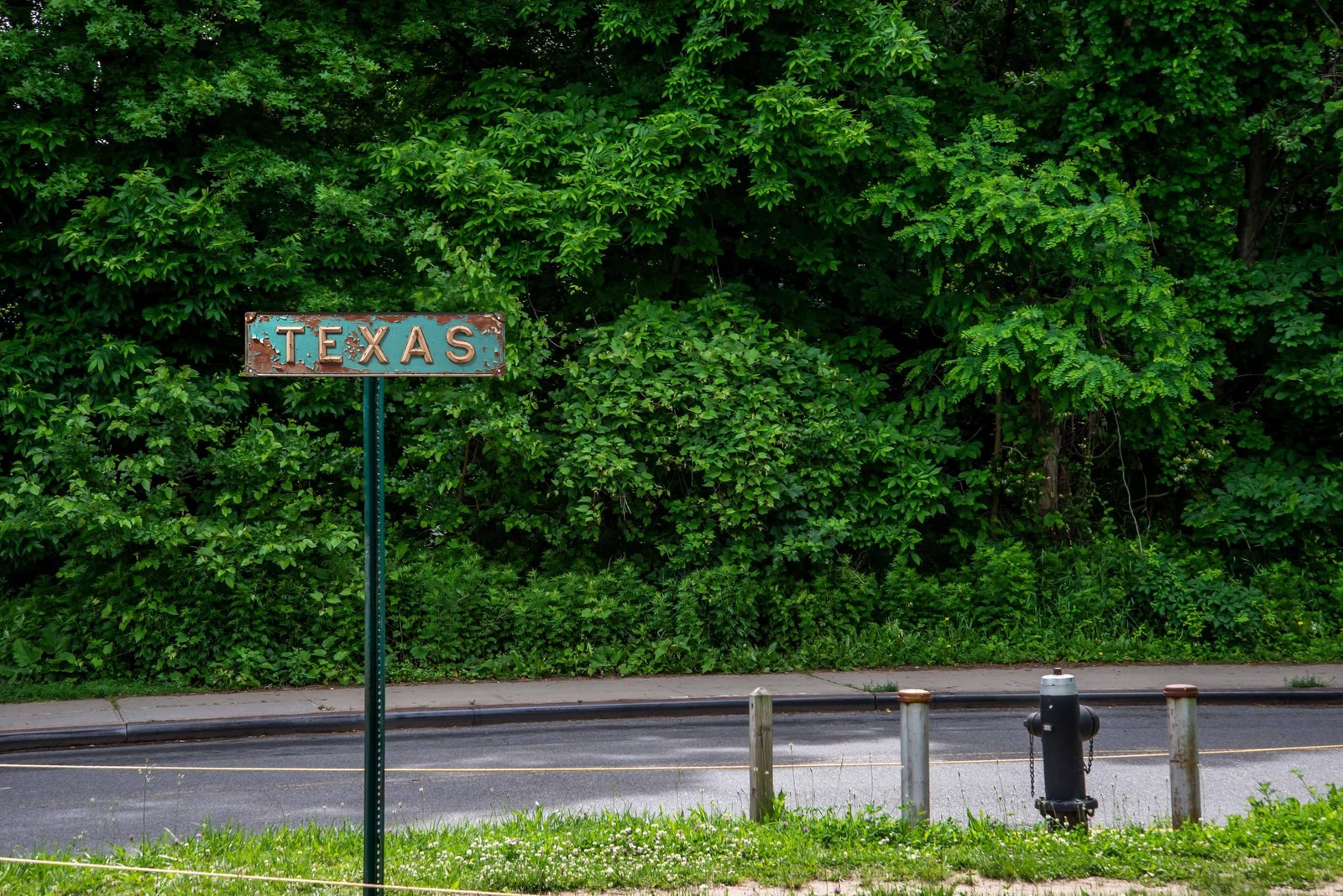 Rustic Texas Metal Tin Sign 4×16 in Vintage Wall Art with for Home Door Garde…