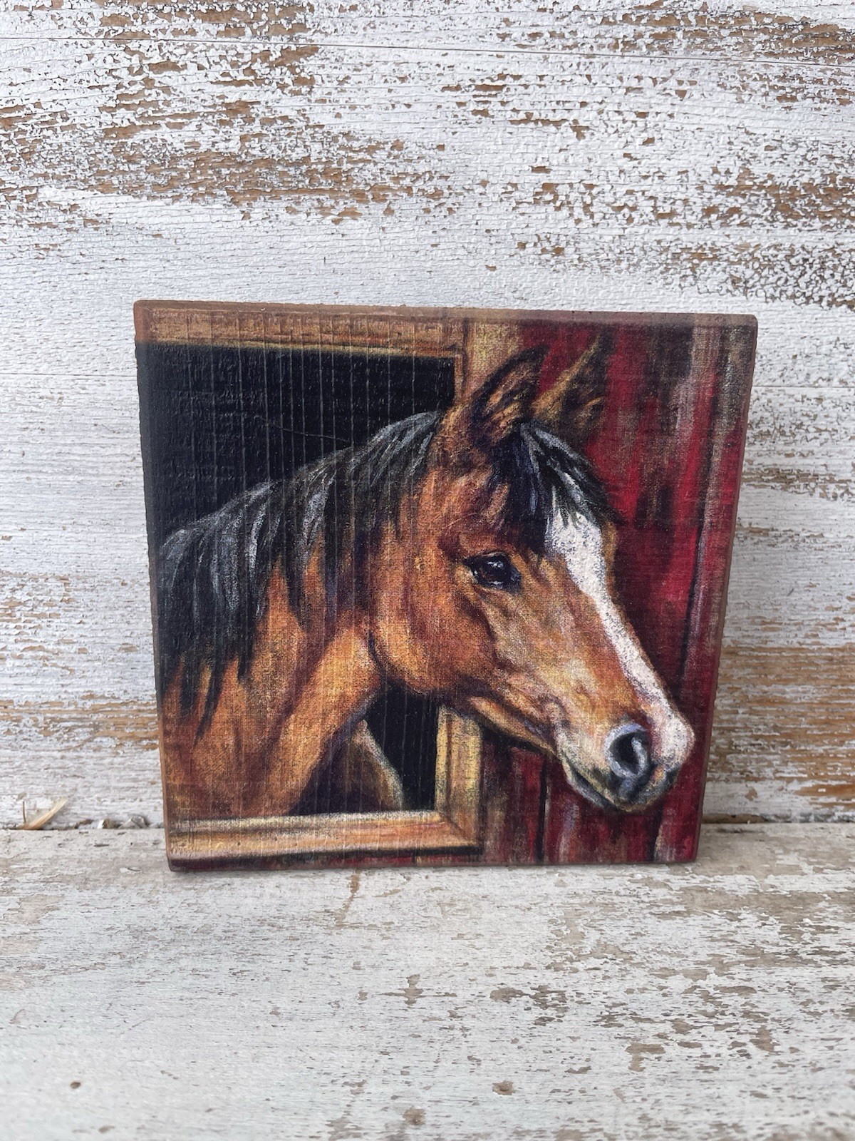 Buckskin Horse Wood Block Sign Farmhouse 6”x6” NEW