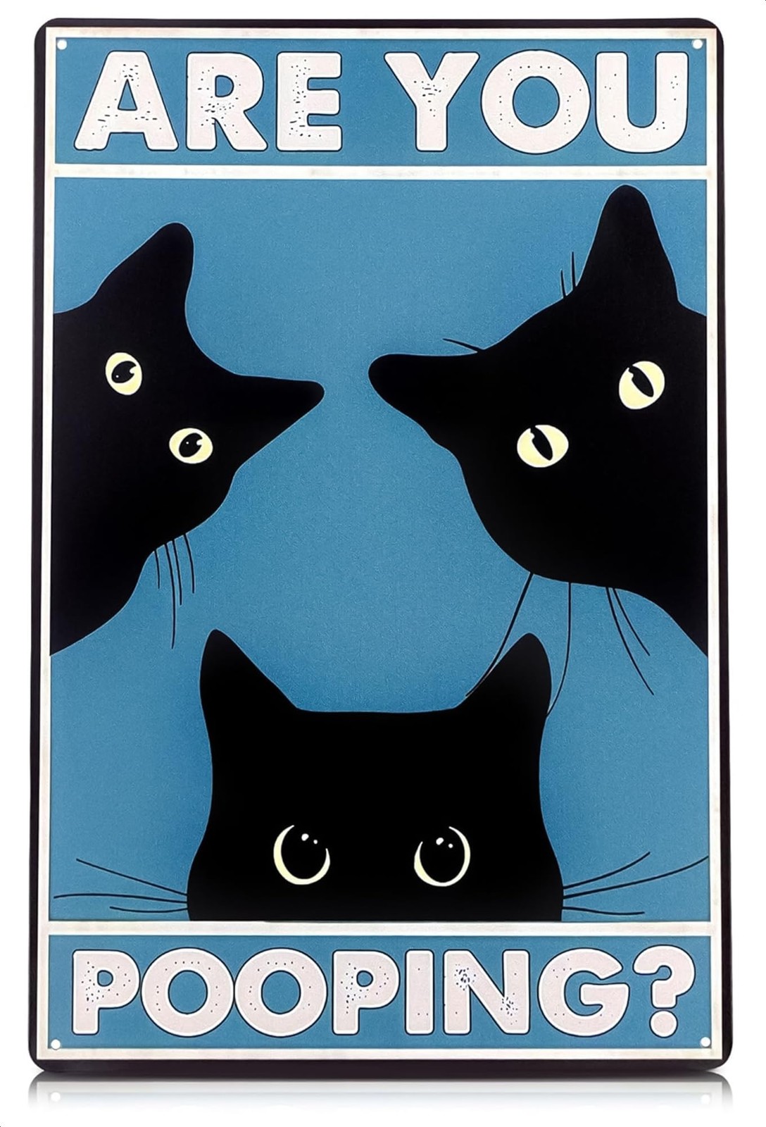 Are You Pooping Sign – Funny Cat Bathroom with 12×8 inches,