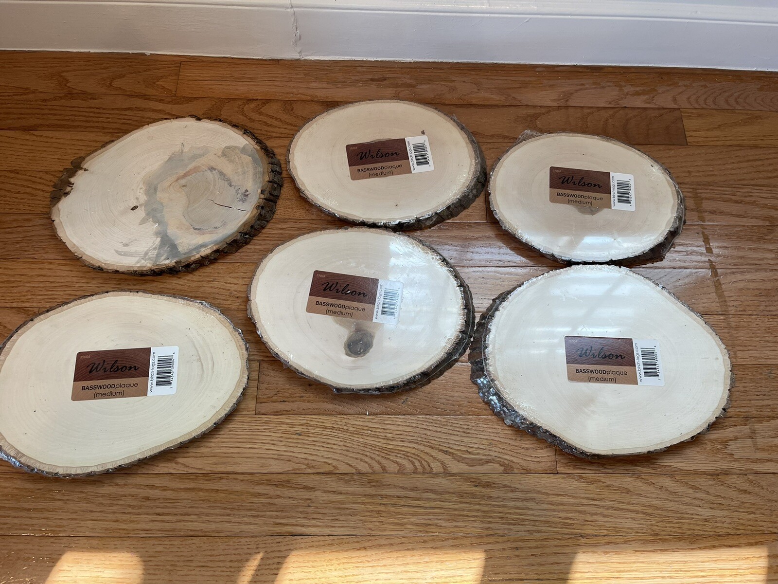 5 New Unopened Wilson Basswood Plaque Medium