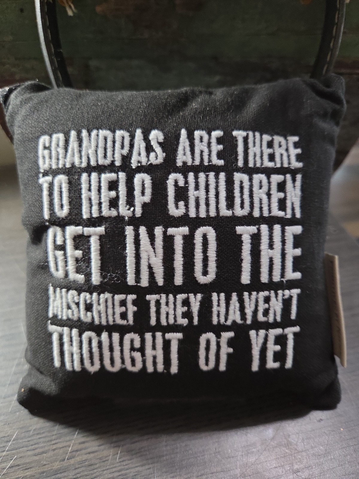 Grandpas Are There To Help Children Get Into Mischief 6×6 Mini Pillow