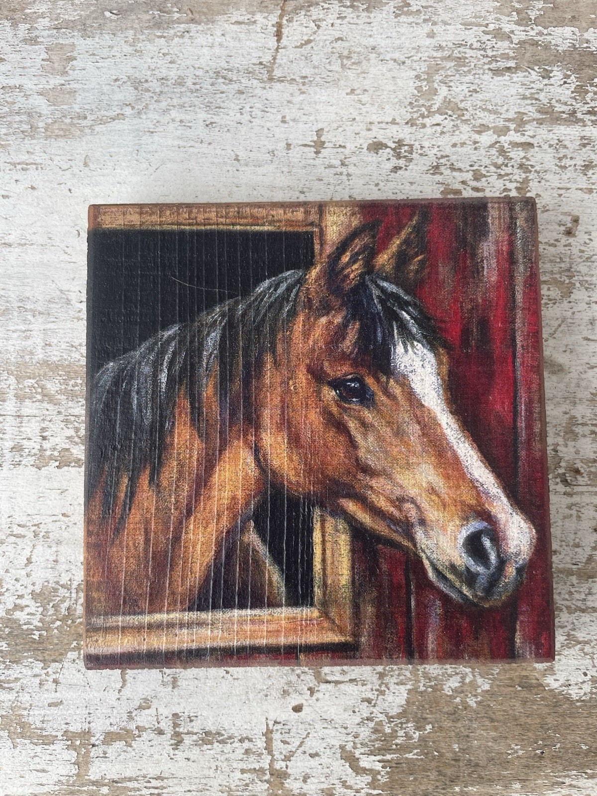 Buckskin Horse Wood Block Sign Farmhouse 6”x6” NEW