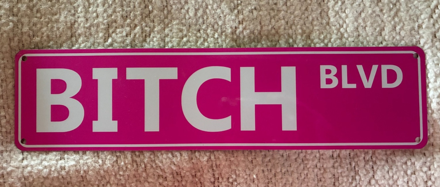 Pink Tin Metal Sign 16 X 4 In – ‘Bitch Blvd’ – for Home, Room Desk Bar, or Dorm