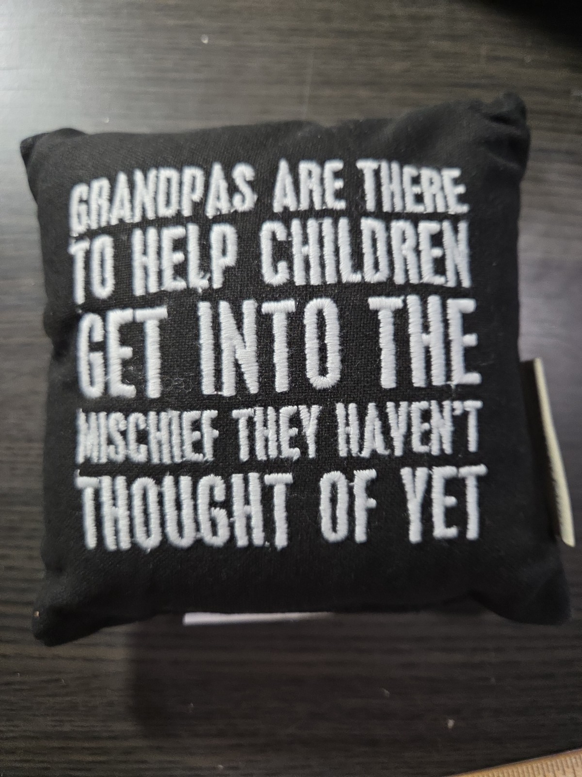 Grandpas Are There To Help Children Get Into Mischief 6×6 Mini Pillow