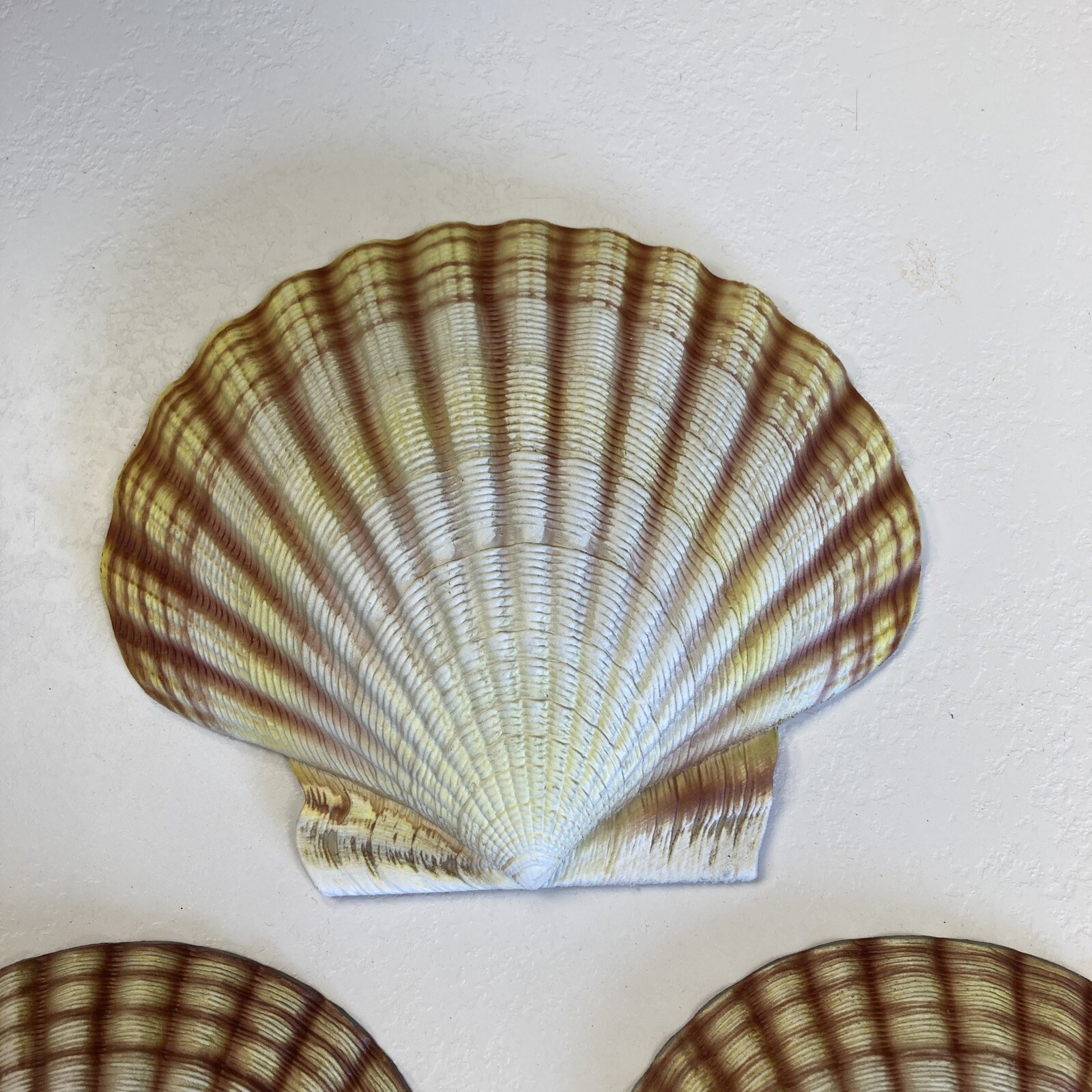 CIT Collection Hand Painted Wall Mounted (1) Large 7.5” (2) Small 5.5” Seashells