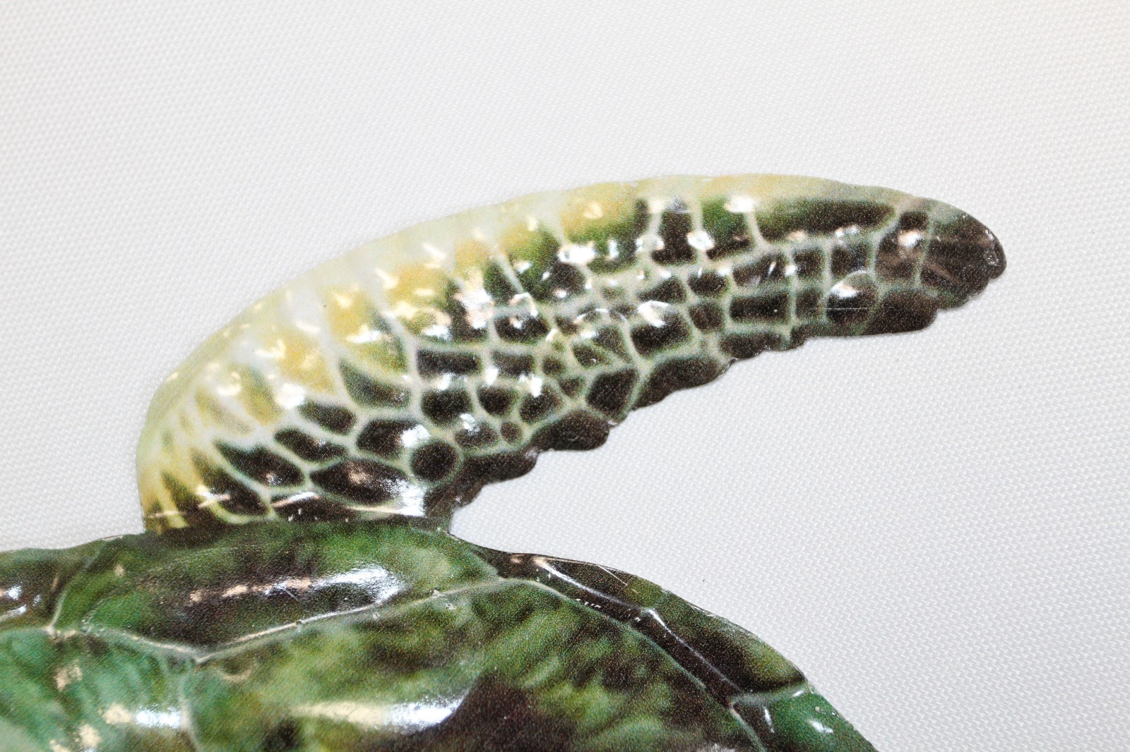 1-Wall Hanging,REALISTIC GREEN SEA TURTLE,Coastal Home Decor,All Occasion Gifts