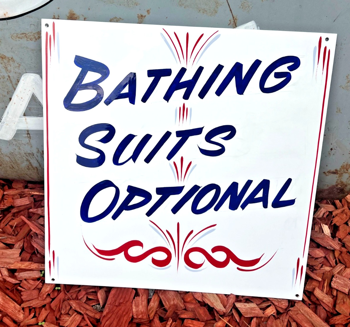 OOAK Hand Painted Lettered Old School Bathing Suits Optionl SIGN Pool Lake Decor