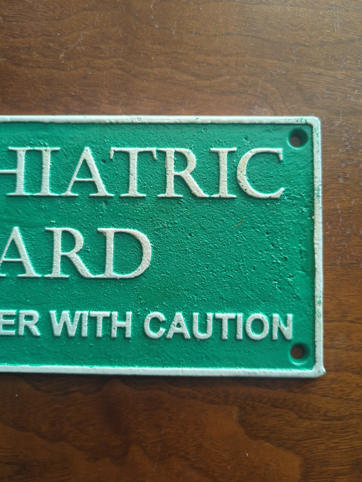 Psychiatric Ward Wall Plaque Green Cast Iron Medium Retro Humor Sign Decor