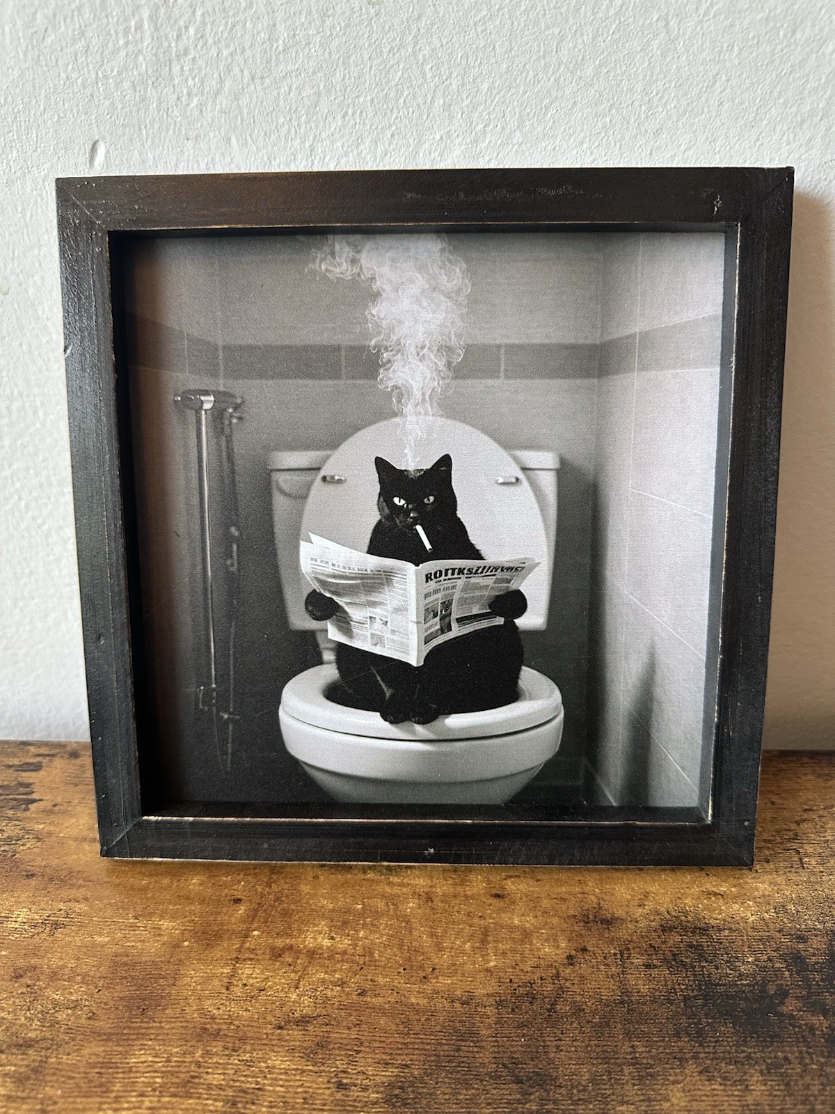Framed Wooden Black Cat on Toilet Smoking Cigarette Reading Black & White NEW