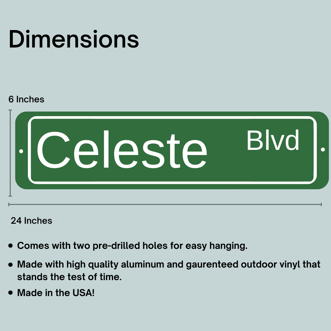 Custom Holiday Gift Outdoor/Indoor Personalized Street Signs (2 Size/Multicolors