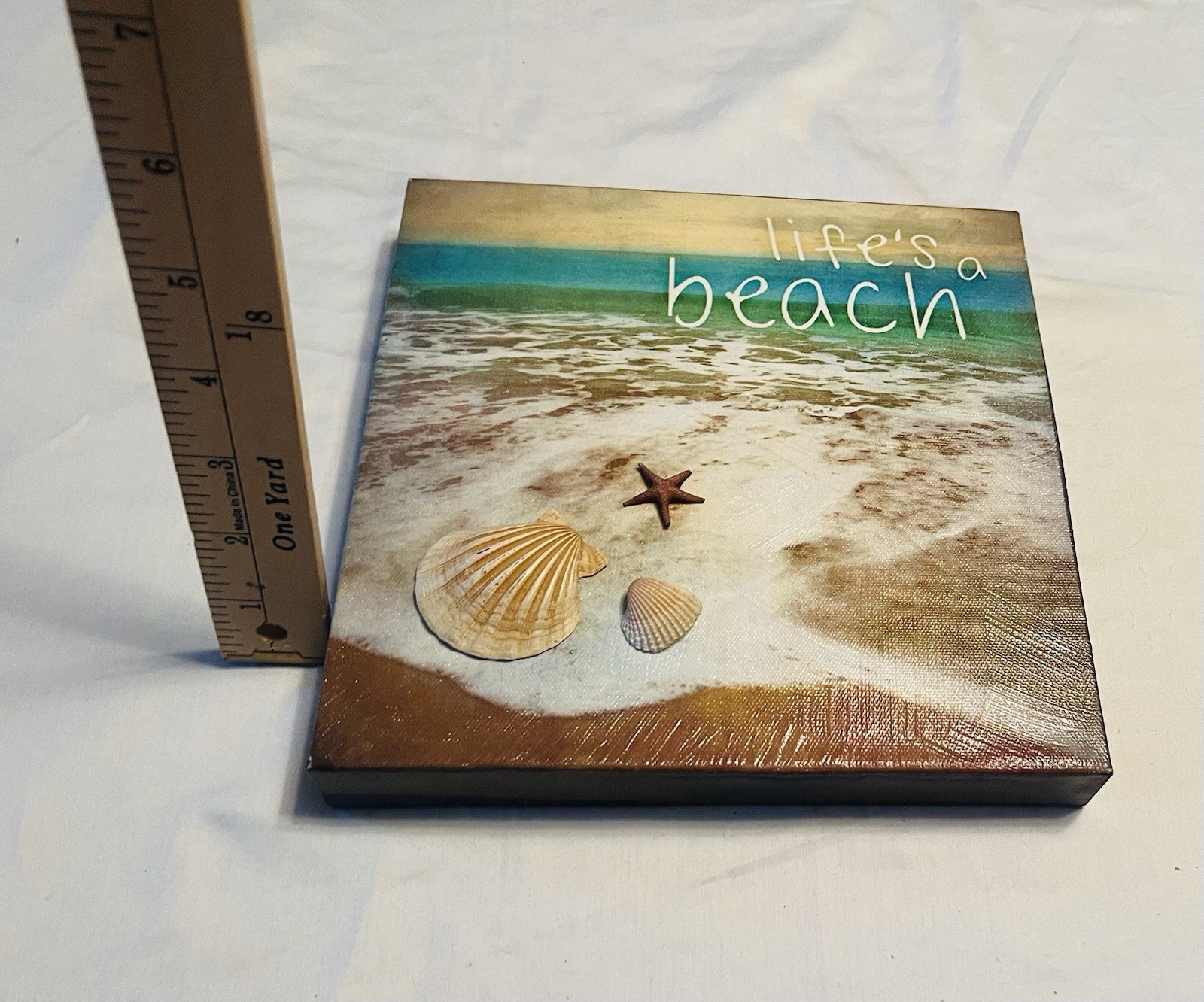 Life’s a Beach Coastal Canvas Wall Art with Seashells 8” x 8”