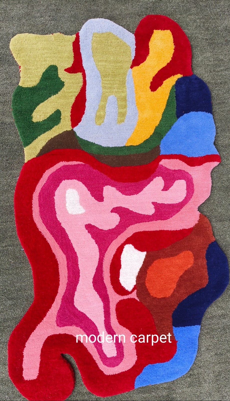 Irregular Amoeba Shaped Rug Handmade 100% Woolen Hand Tufted For Home Decoration