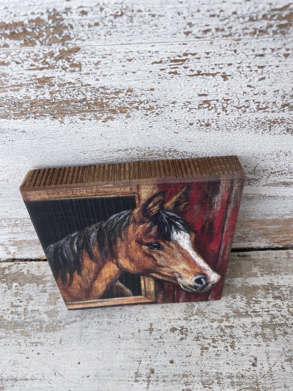 Buckskin Horse Wood Block Sign Farmhouse 6”x6” NEW