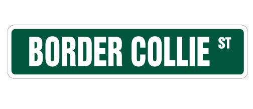 BORDER COLLIE Street Sign Metal Plastic Decal pet herding dog vet lover