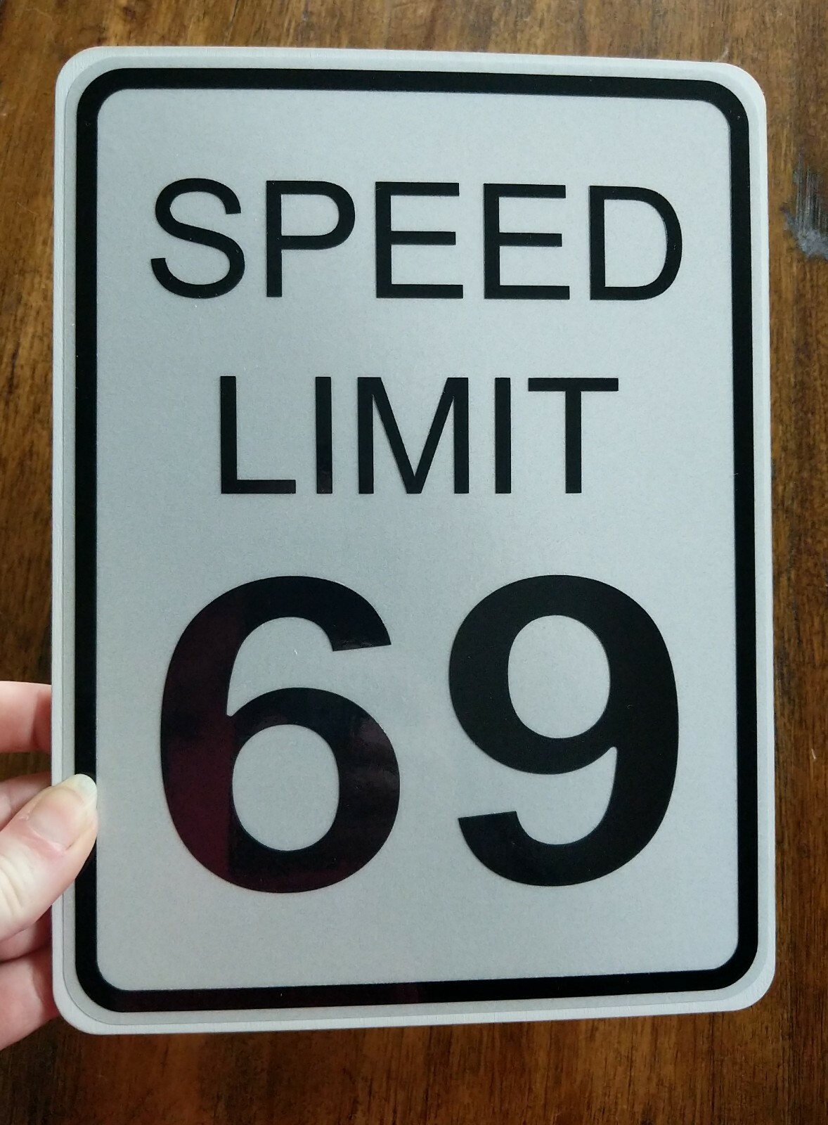9.5″ Speed Limit 69 Sign Indoor Bedroom Home Decor Adult Humor Couples Wedding