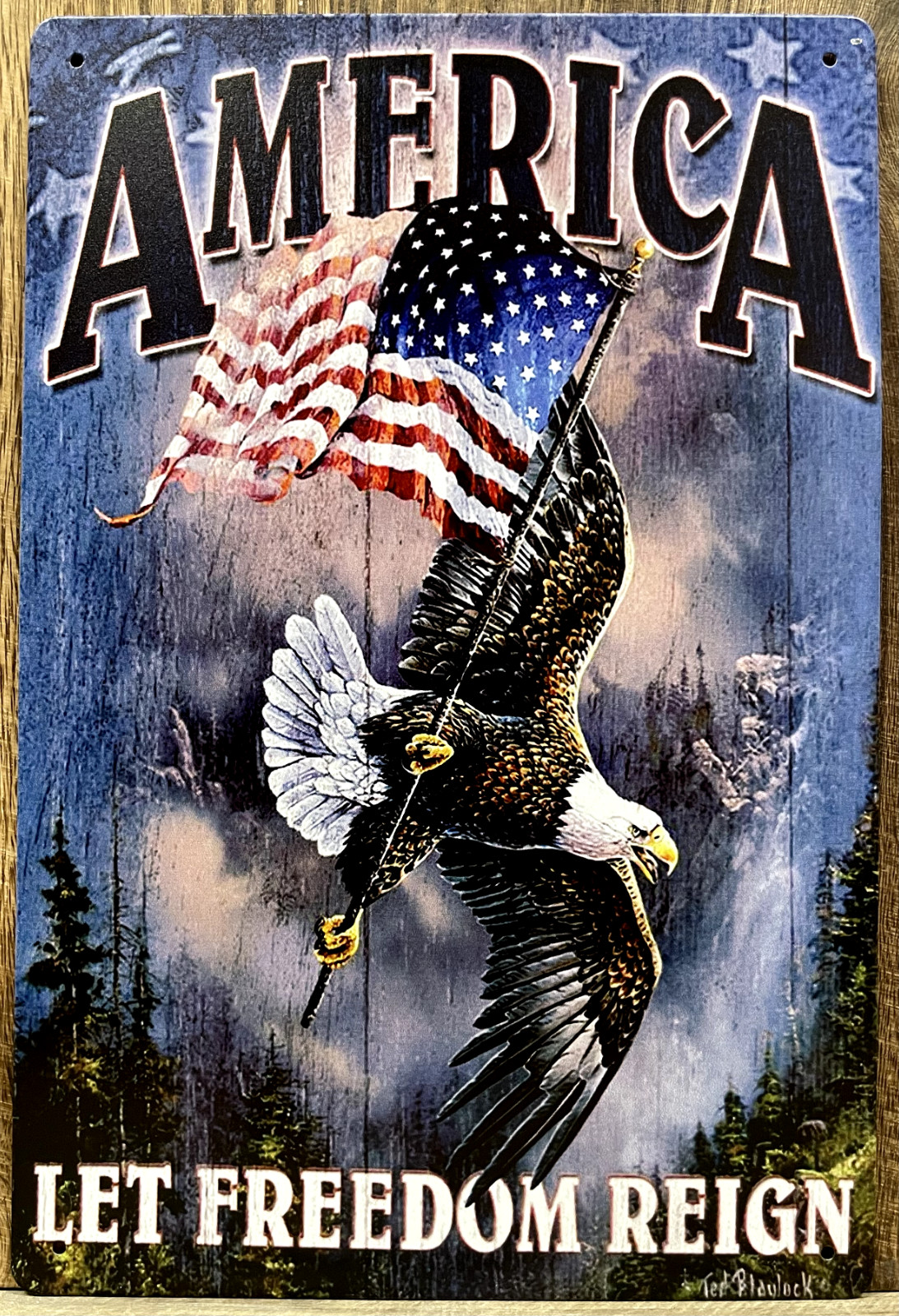 America Metal Wall Sign 12″ x 8″