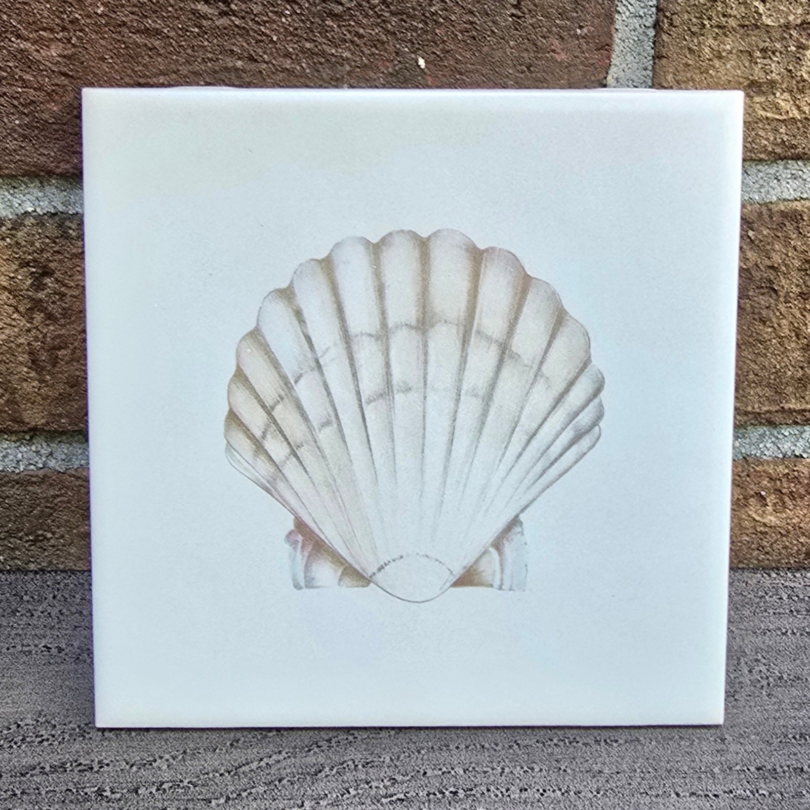 Seashell Ceramic Tile Square 6″ x 6″ Made in USA White Tan Beach Trivet Decor