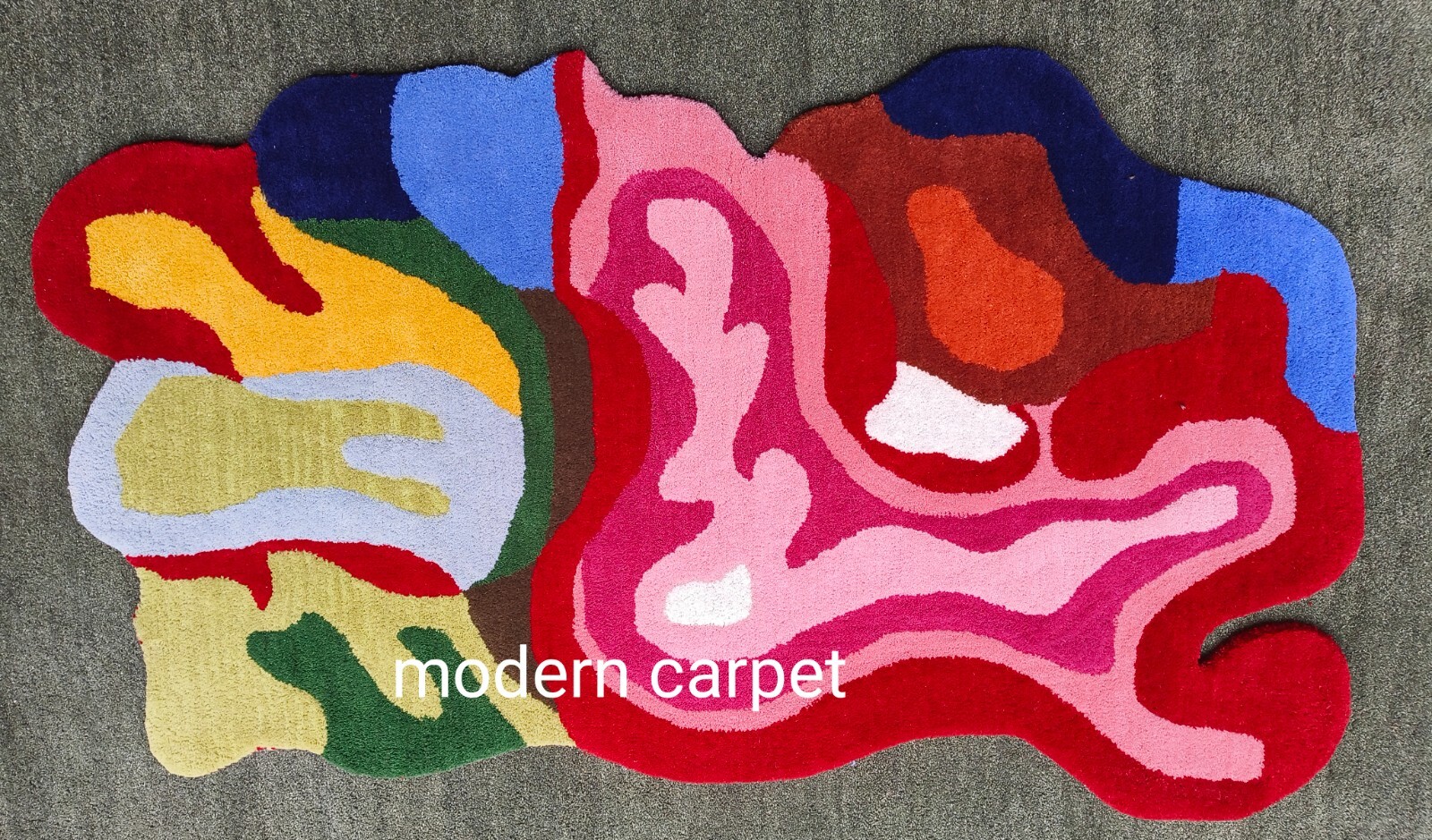 Irregular Amoeba Shaped Rug Handmade 100% Woolen Hand Tufted For Home Decoration