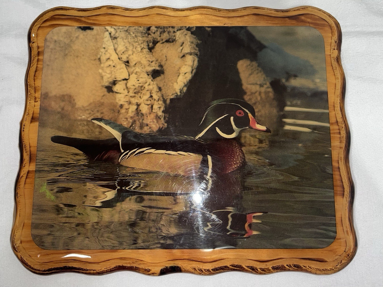 Wood Rustic Duck Wall Plaque, Waterfowl Print, Glossy Finish, Hanging 10×8 Cabin