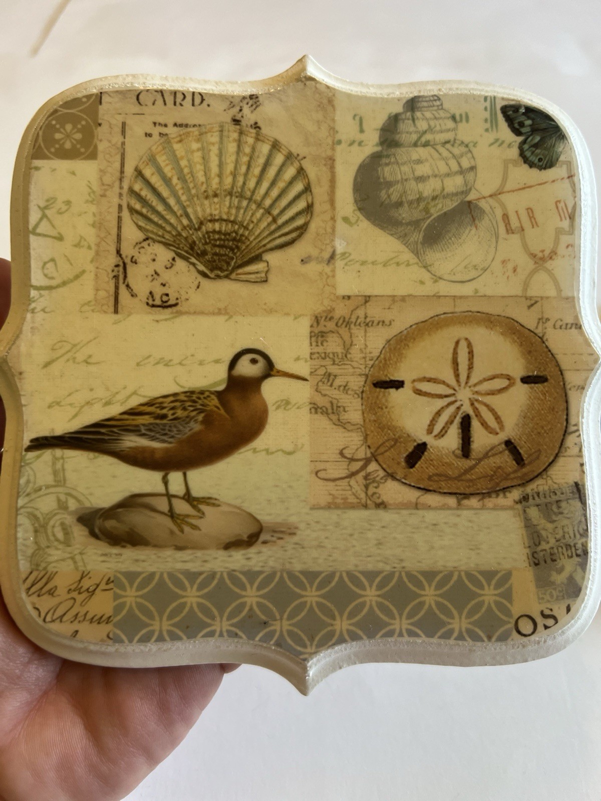 New View Gifts Coastal Wall Plaque Art Set Beach Decor Sand Dollar Bird Shell