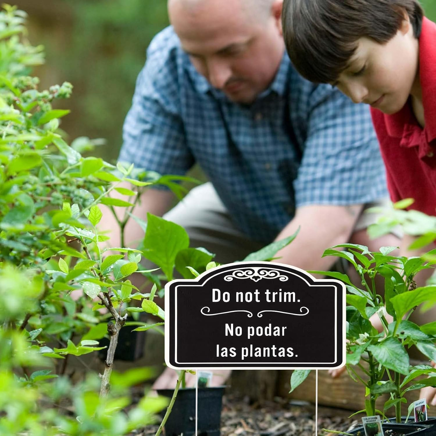 4pcs Do Not Trim Signs with Stakes, Corrugated Plastic Do Not Prune Bushes Pleas