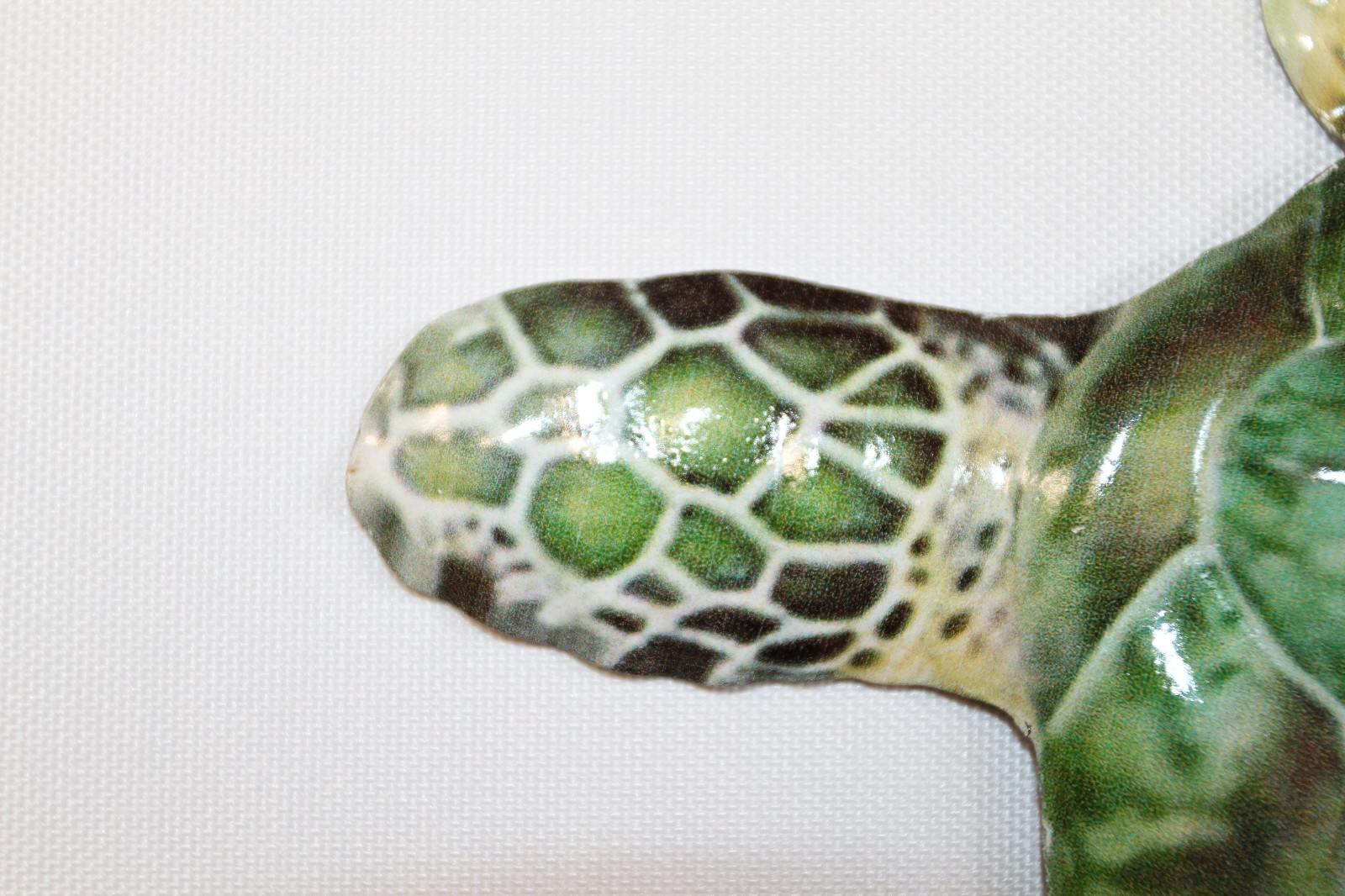 1-Wall Hanging,REALISTIC GREEN SEA TURTLE,Coastal Home Decor,All Occasion Gifts