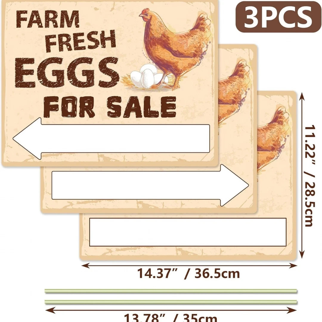 3Pcs Double Sided Farm Fresh Eggs Sign Eggs for Sale Sign Corrugated Plastic Fre