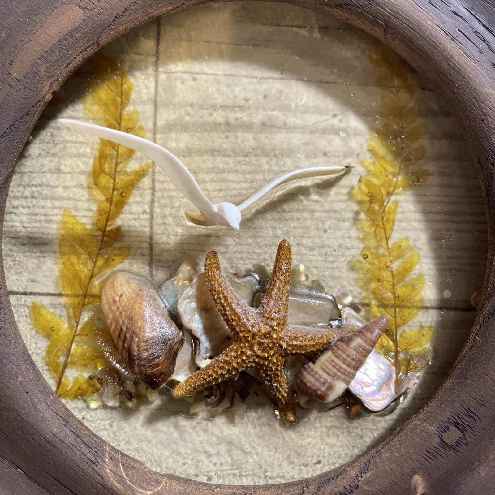 Vintage 1970’s Nautical Beach Coastal Hanging 6” Round Wall Art Lucite Wood