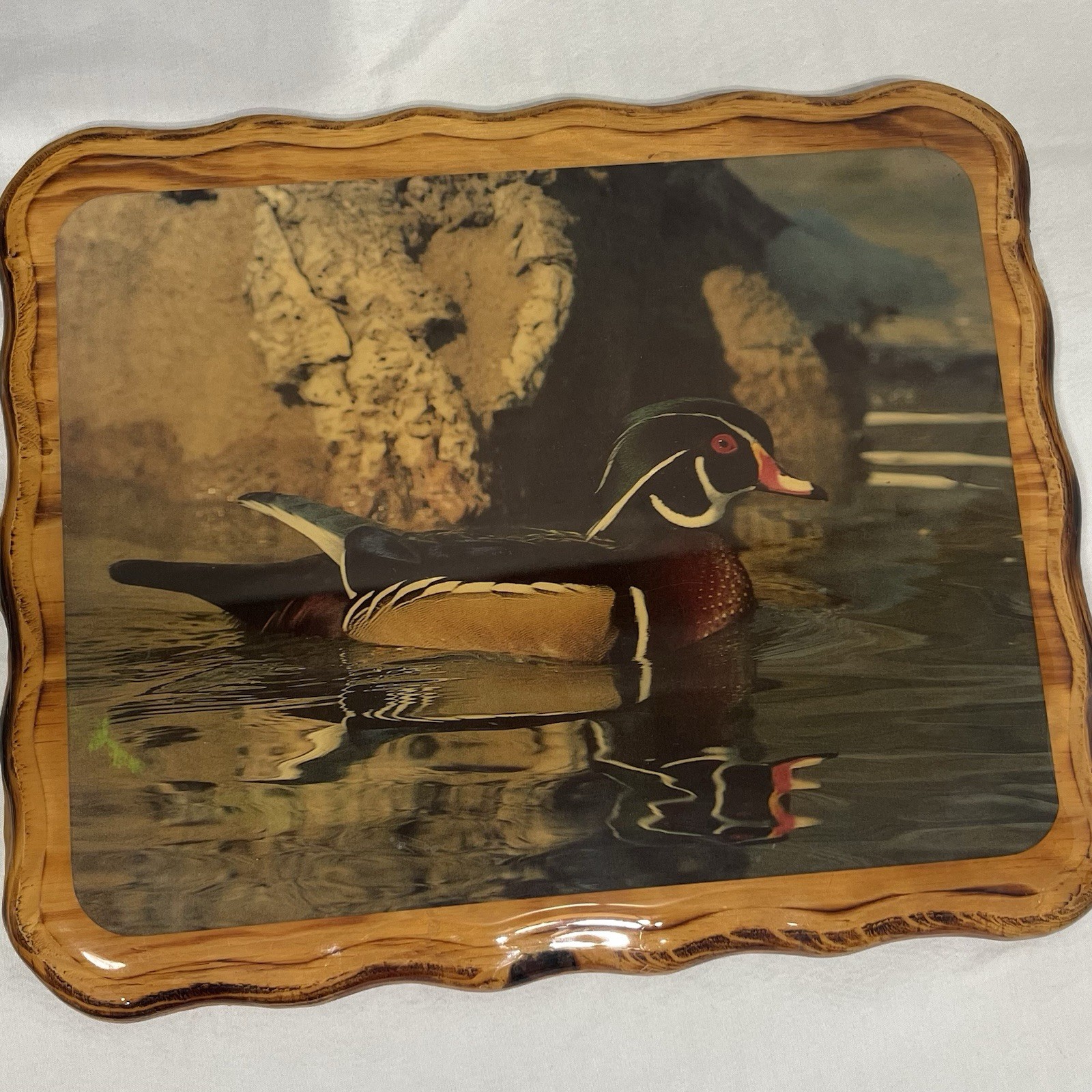 Wood Rustic Duck Wall Plaque, Waterfowl Print, Glossy Finish, Hanging 10×8 Cabin