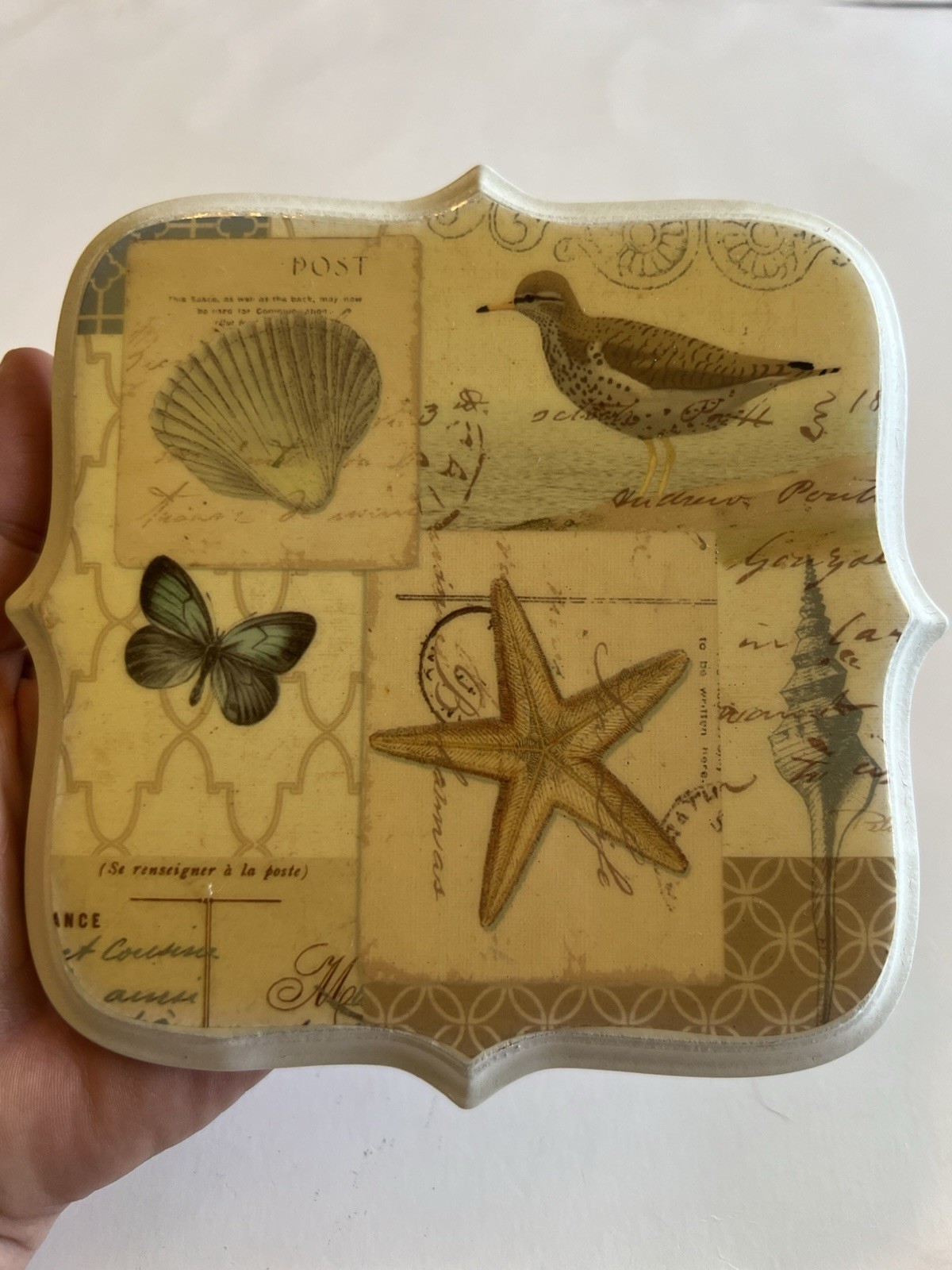 New View Gifts Coastal Wall Plaque Art Set Beach Decor Sand Dollar Bird Shell