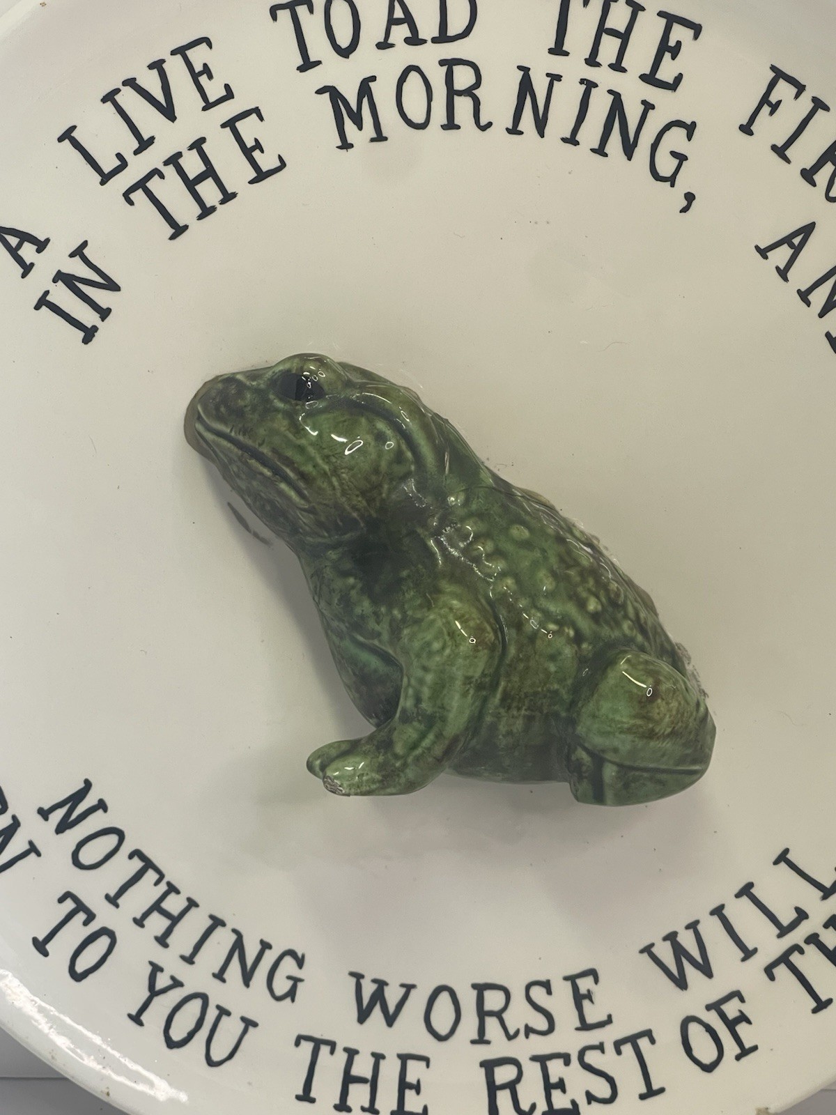 Eat A Live Toad Decorative 3-D Plate Mark Twain Quote Handmade Vintage