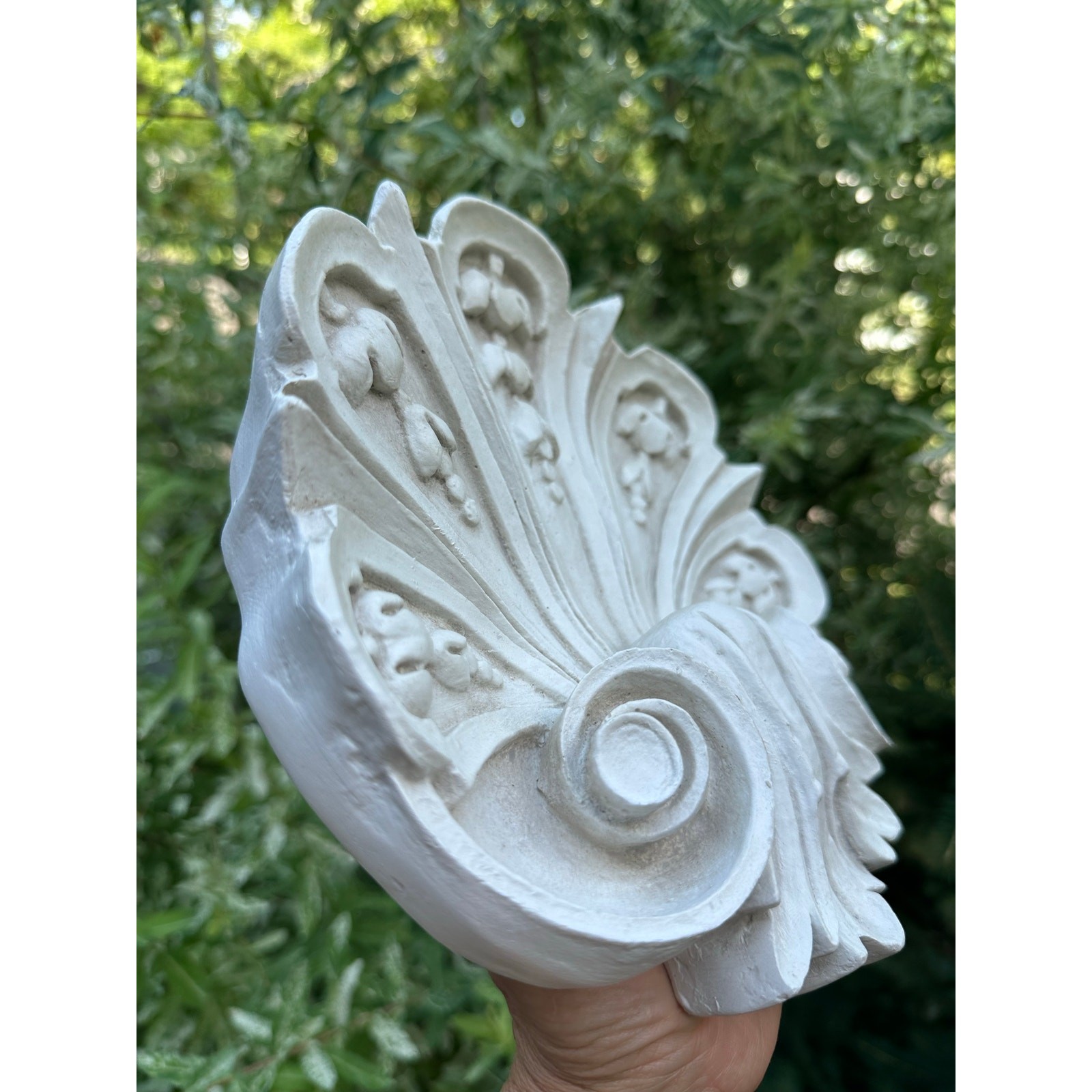Vintage Shell Wall Plaque resin ornate off white decor 9×9”