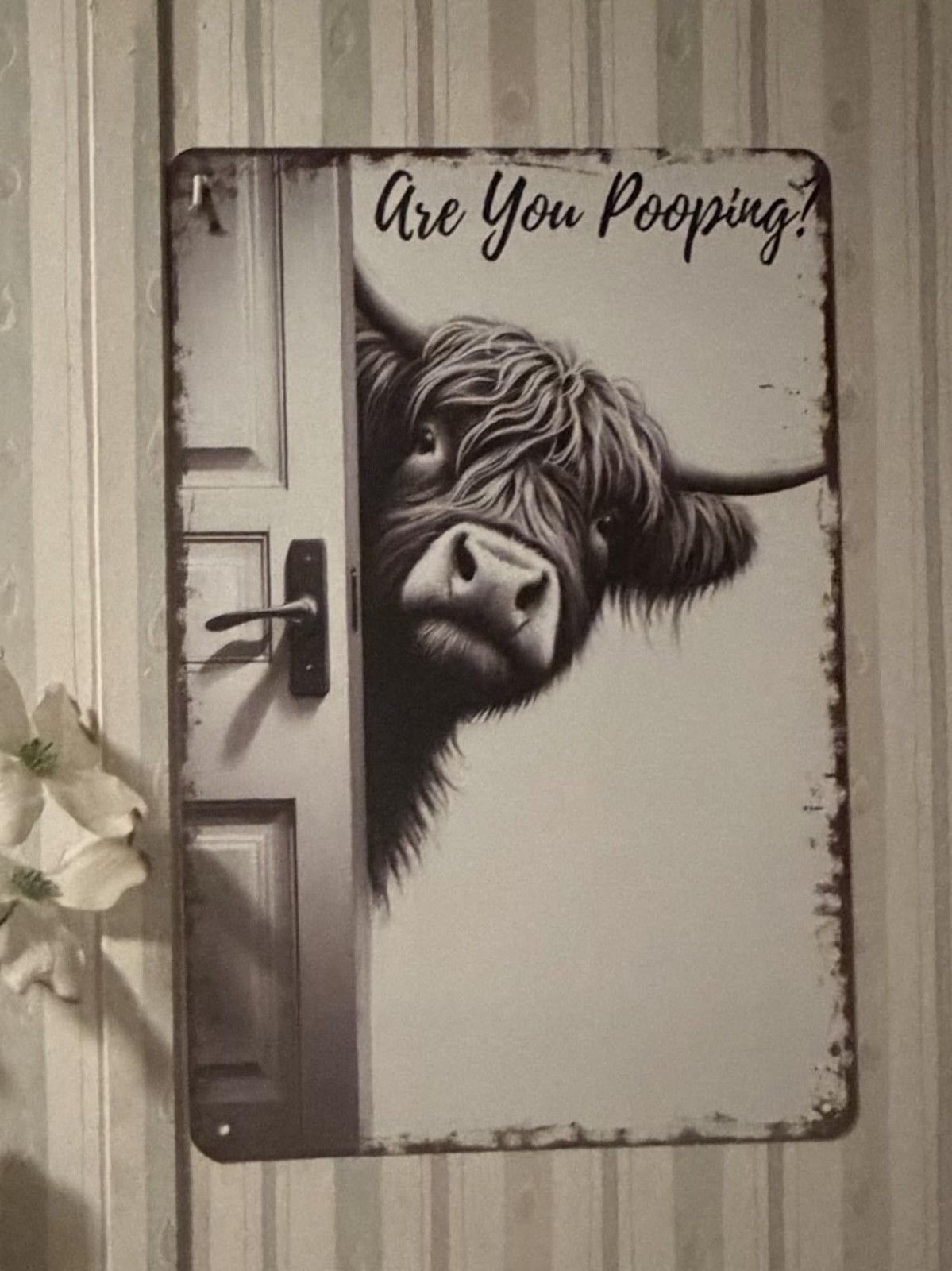 Vintage Highland Cow Aluminum Sign: Funny “Are You Pooping?” Black and White Bat