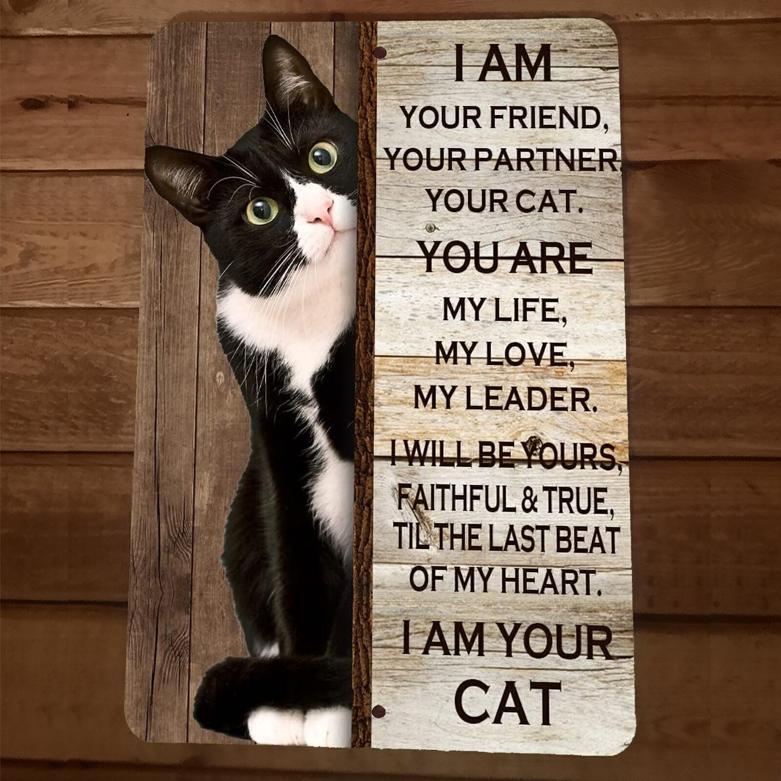 I Am Your Black and White Cat 8×12 Metal Wall Sign Animal Poster