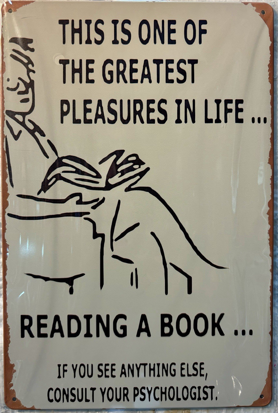 TIN SIGN 8×12 Funny Reading Books Novels Sexy Girl Life Pleasure Psychology DD16