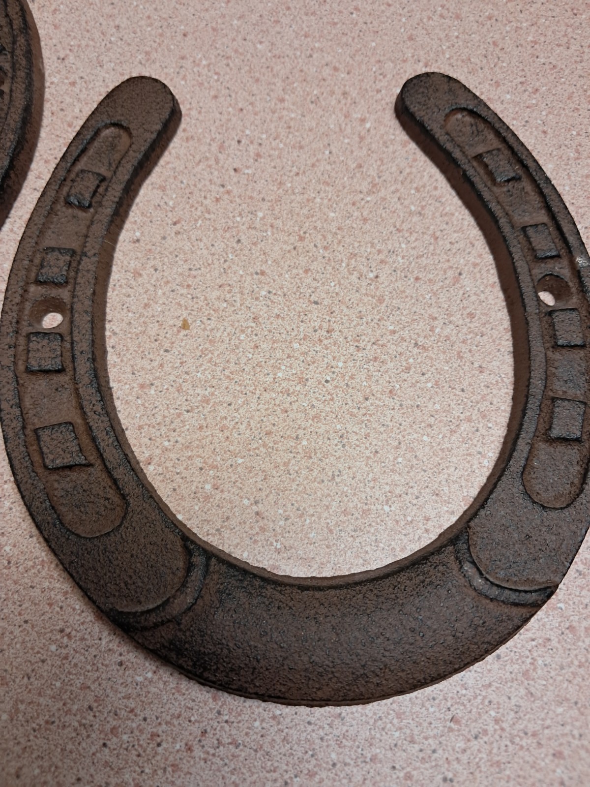 Cast Iron Horseshoe Wall Decor Cast Iron Horseshoe Ornament Cast Iron Medium 2