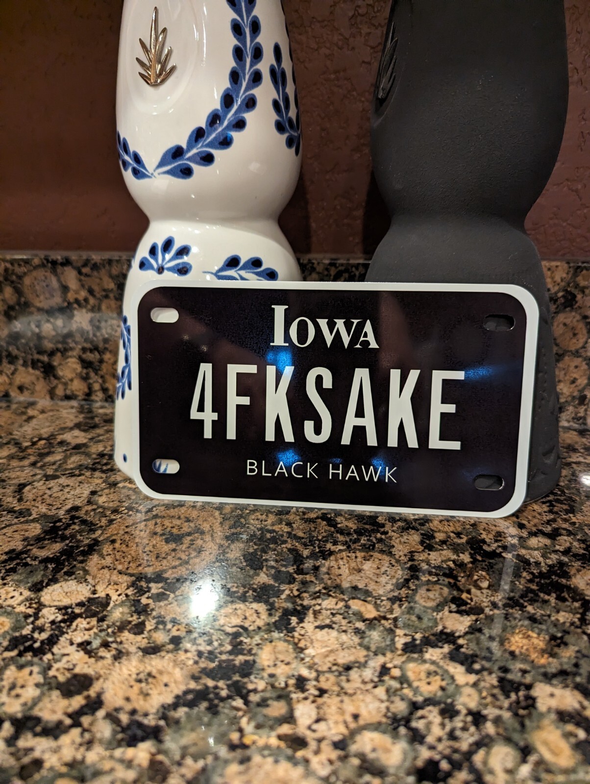 7 X 4 Aluminum Small Bike License Plate Sign Adult Humor