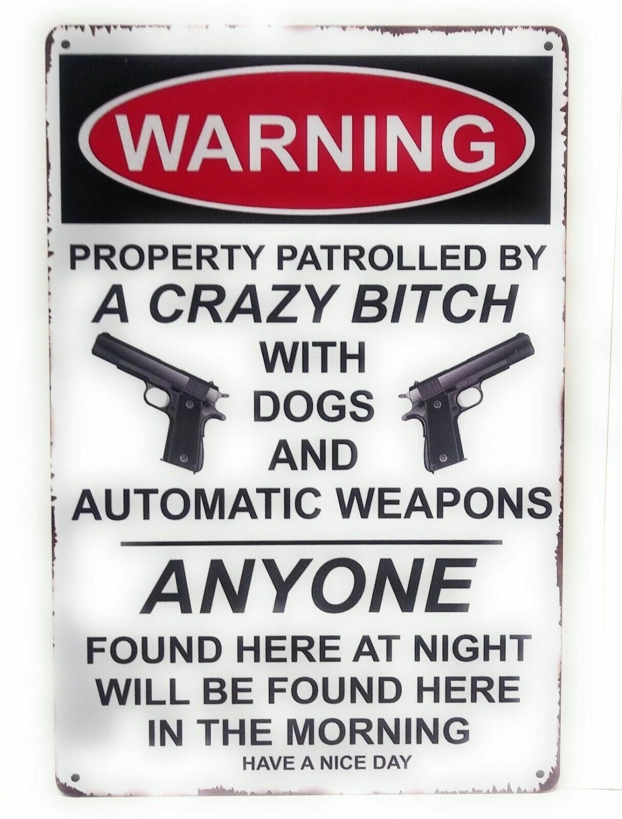 Warning! Property Patrolled by A Crazy Bitch With Dogs Tin Sign, 8-in by 12-in