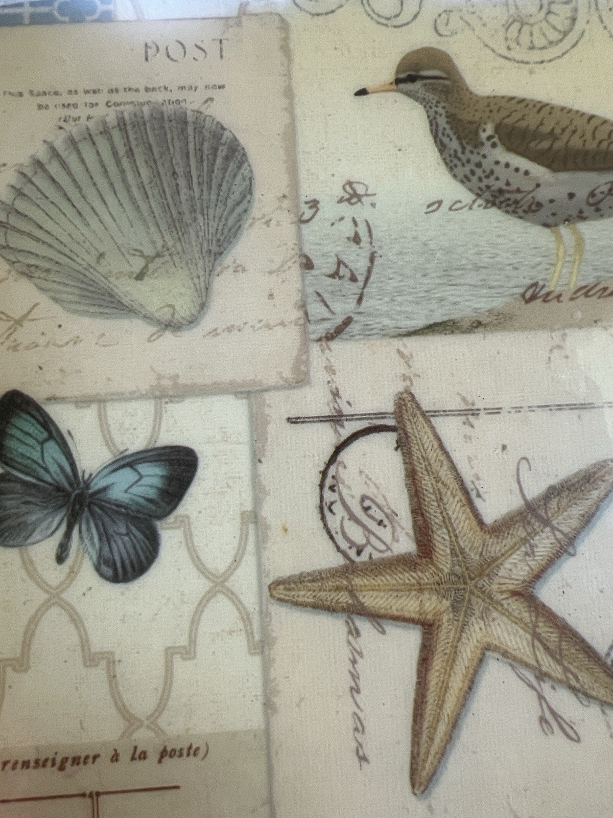 New View Gifts Coastal Wall Plaque Art Set Beach Decor Sand Dollar Bird Shell