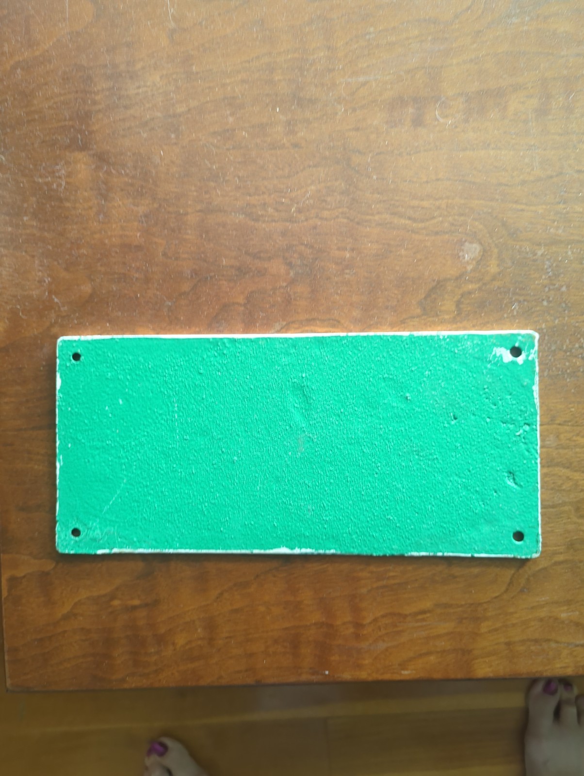 Psychiatric Ward Wall Plaque Green Cast Iron Medium Retro Humor Sign Decor